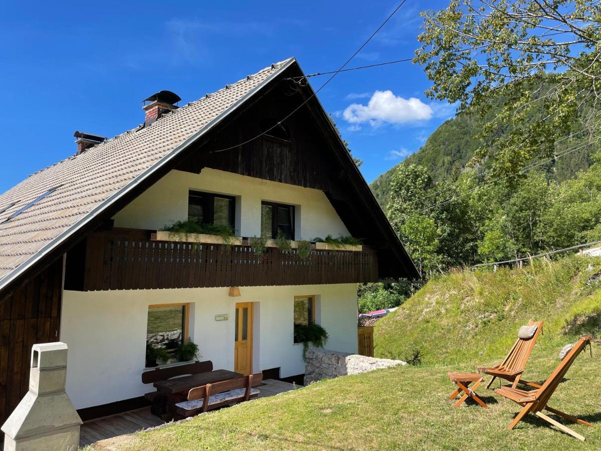 Apartma Korosec Srednja Vas v Bohinju Dış mekan fotoğraf
